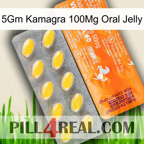 5Gm Kamagra 100Mg Oral Jelly new05.jpg